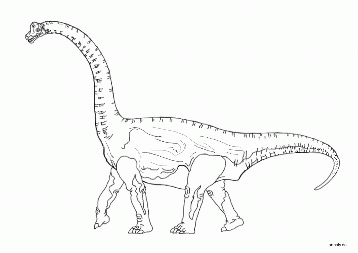 Dinozaury kolorowanki